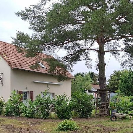 Proche Chateaux Et Zoo De Beauval: Gite De Sologne Pruniers Esterno foto