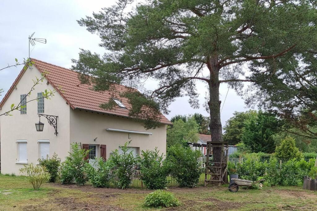 Proche Chateaux Et Zoo De Beauval: Gite De Sologne Pruniers Esterno foto